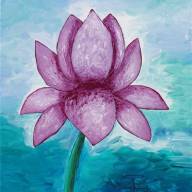 The Lotus Flower